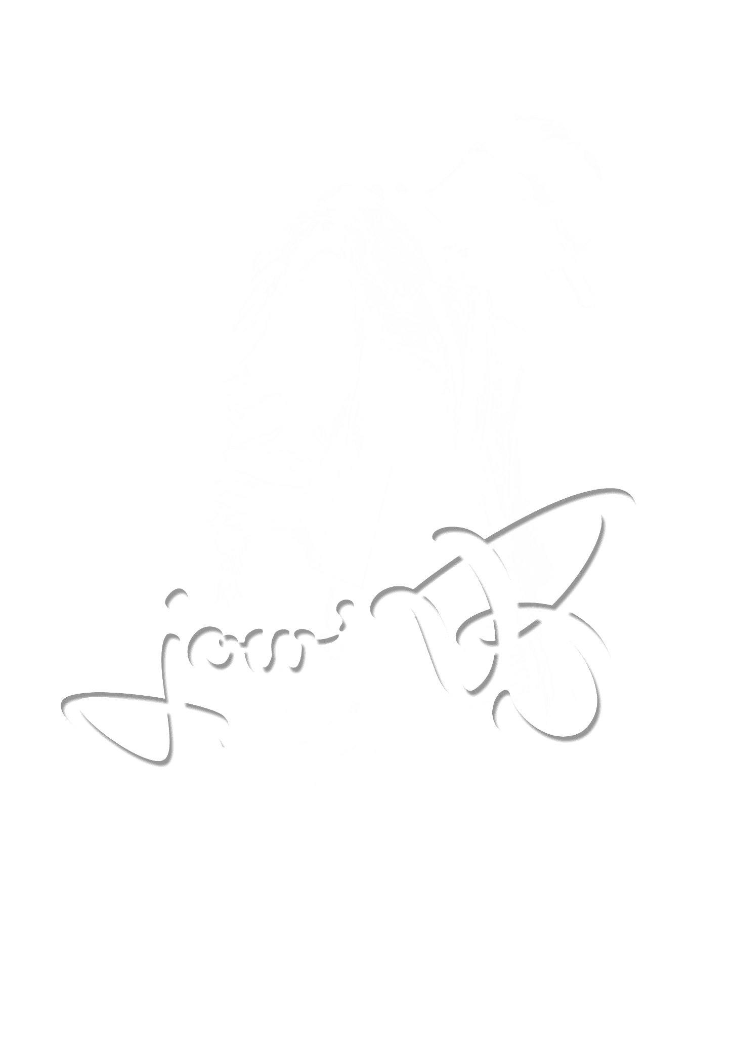 JOW B